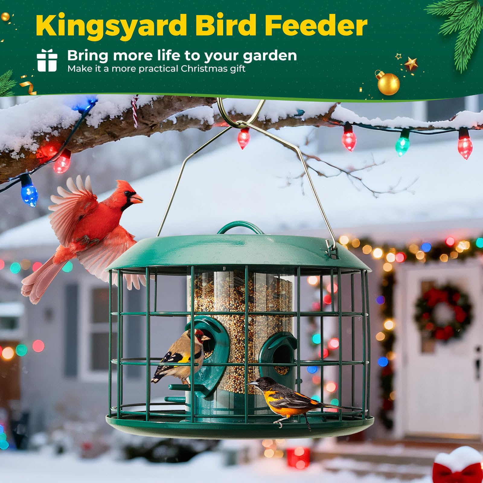 Kingsyard 1.5 lb capacity supports varied bird foods.