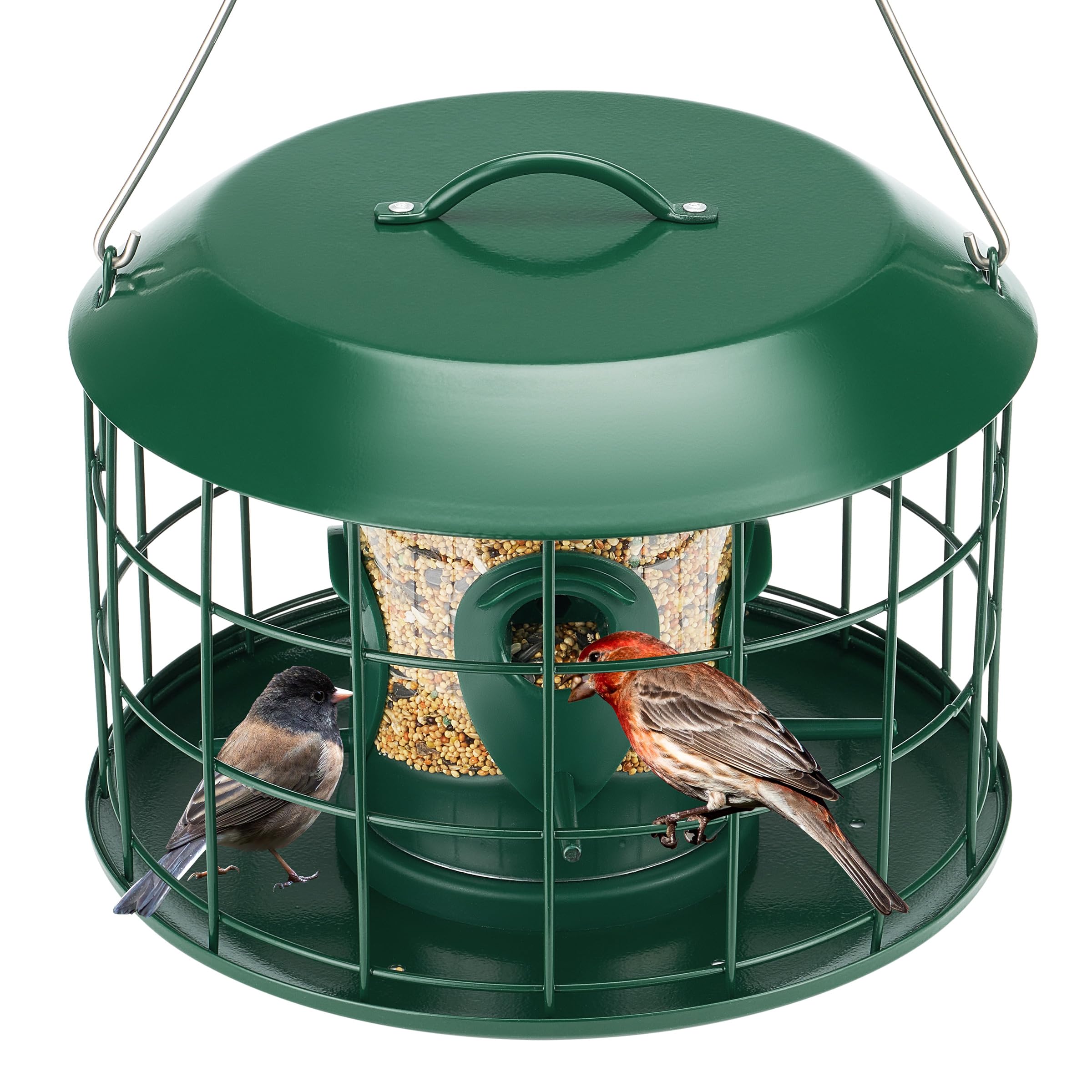 Kingsyard Tube Squirrel-Proof Feeder front view with four ports in green.