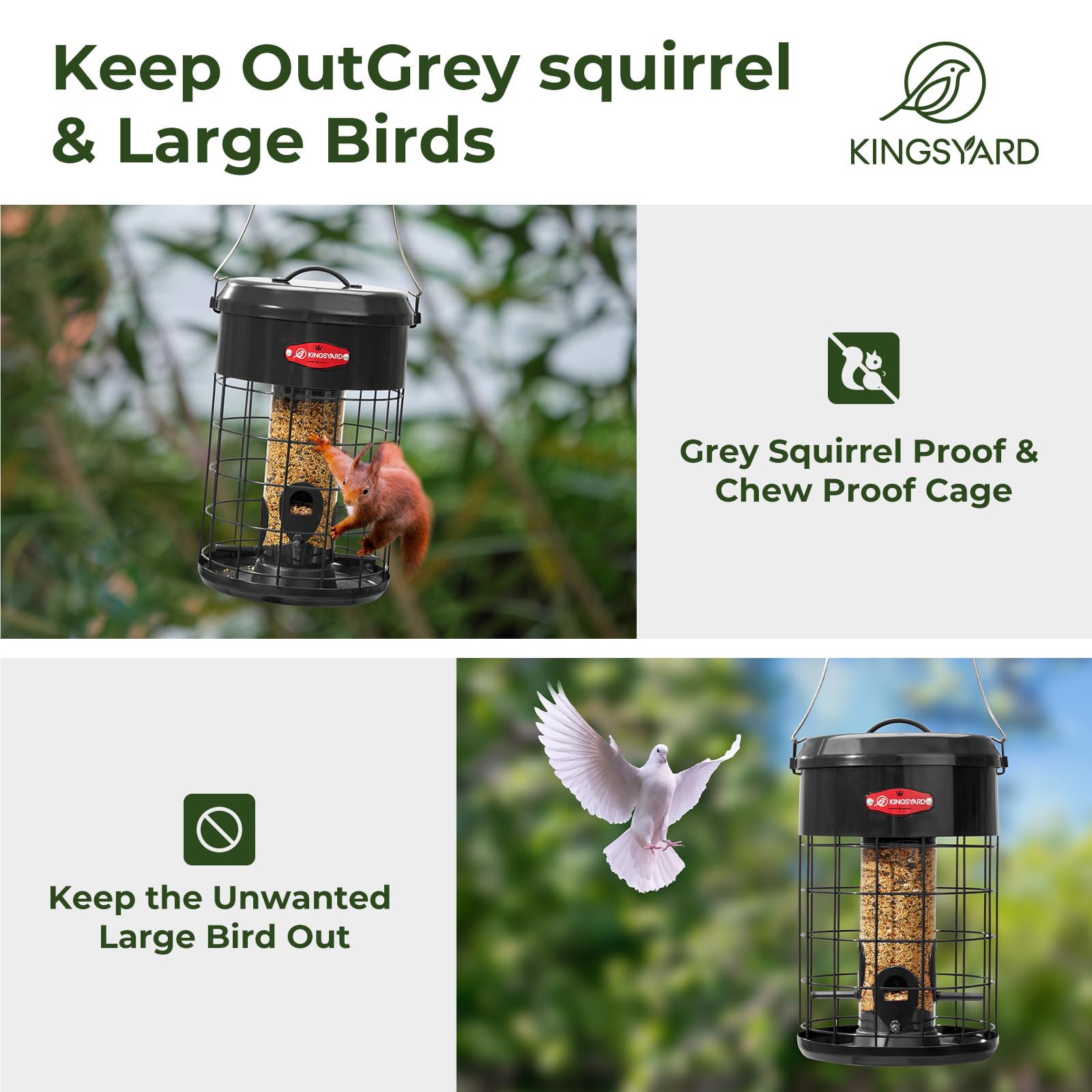Kingsyard anti-squirrel mesh blocks intruders yet allows feeding