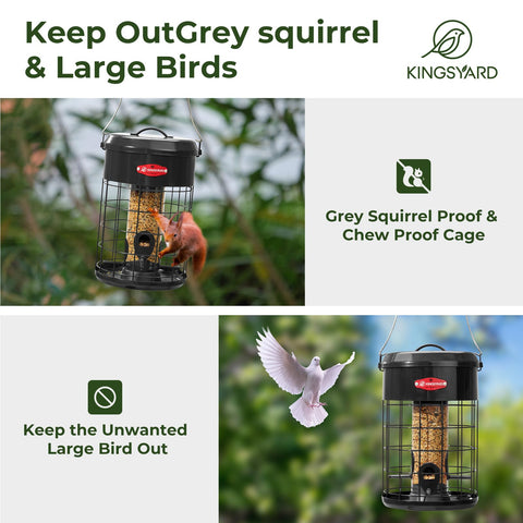 Kingsyard anti-squirrel mesh blocks intruders yet allows feeding