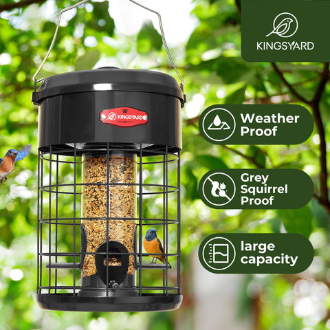 Kingsyard ideal gift for bird lovers to enjoy nature
