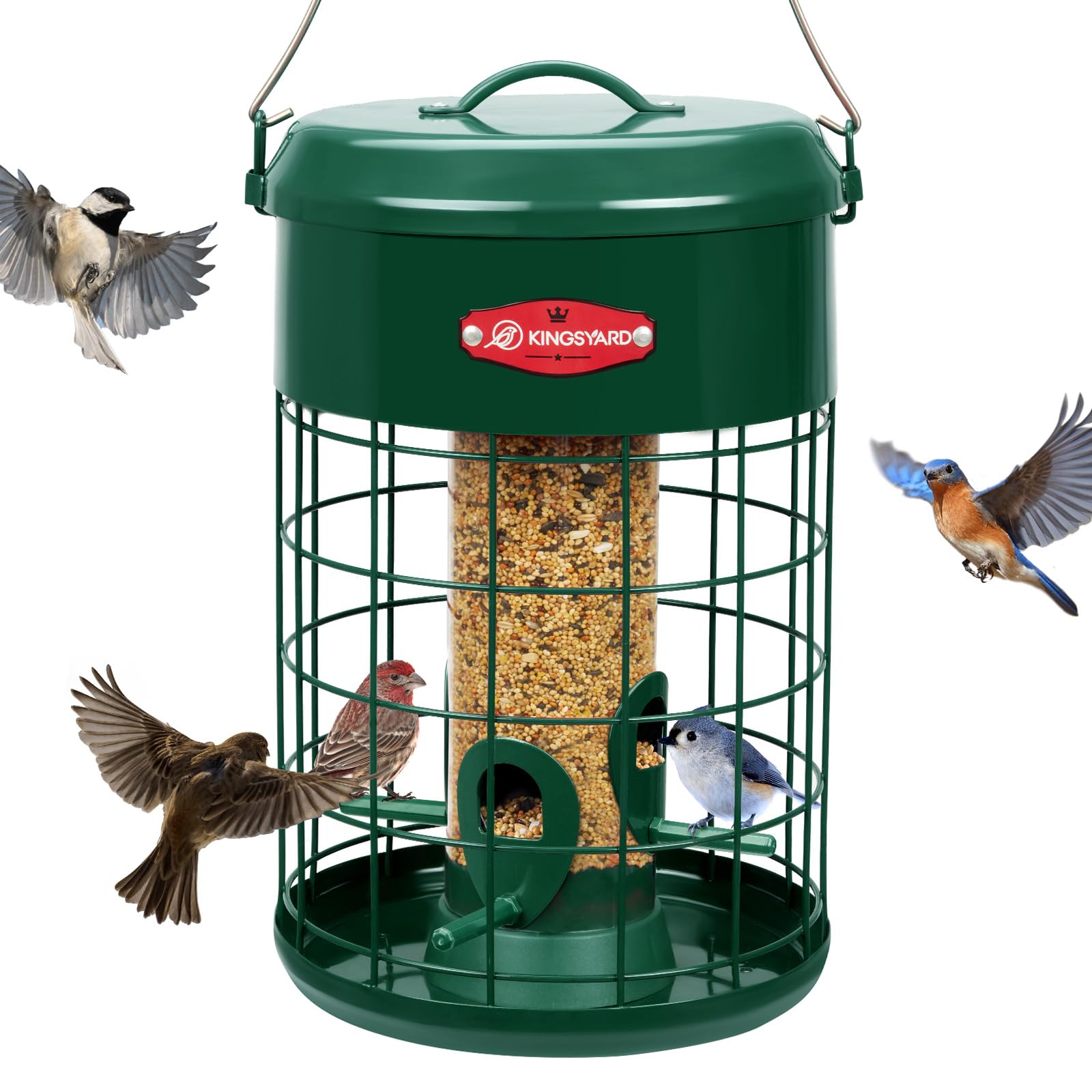 Kingsyard upgraded squirrel-proof bird feeder outdoors blocks intruding squirrels while bluebirds feed