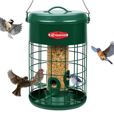 Kingsyard upgraded squirrel-proof bird feeder outdoors blocks intruding squirrels while bluebirds feed