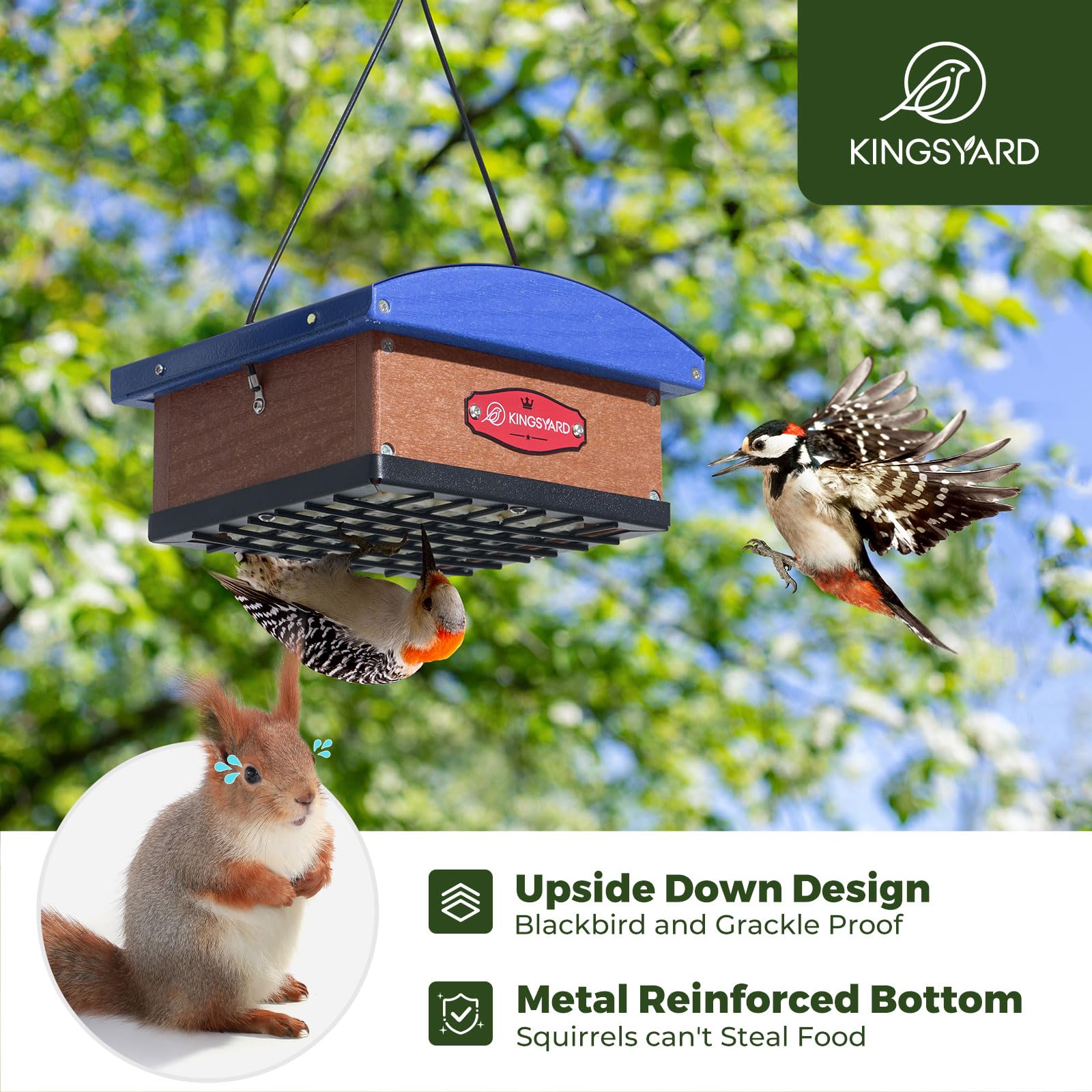 Kingsyard suet feeder with squirrel-proof edging helps birds feed safely.