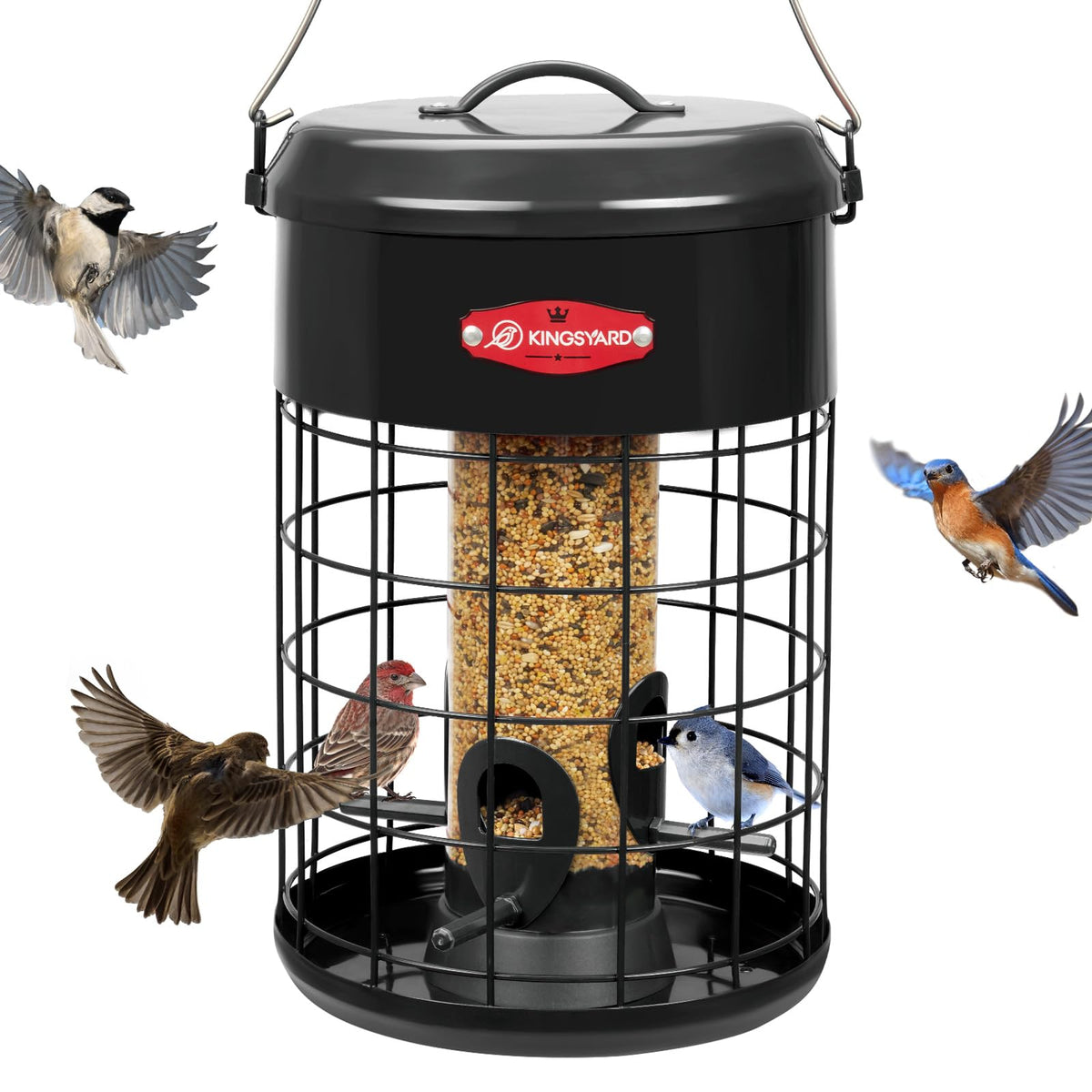 Kingsyard Upgraded Squirrel-Proof Feeder top view keeps seeds safe for small birds