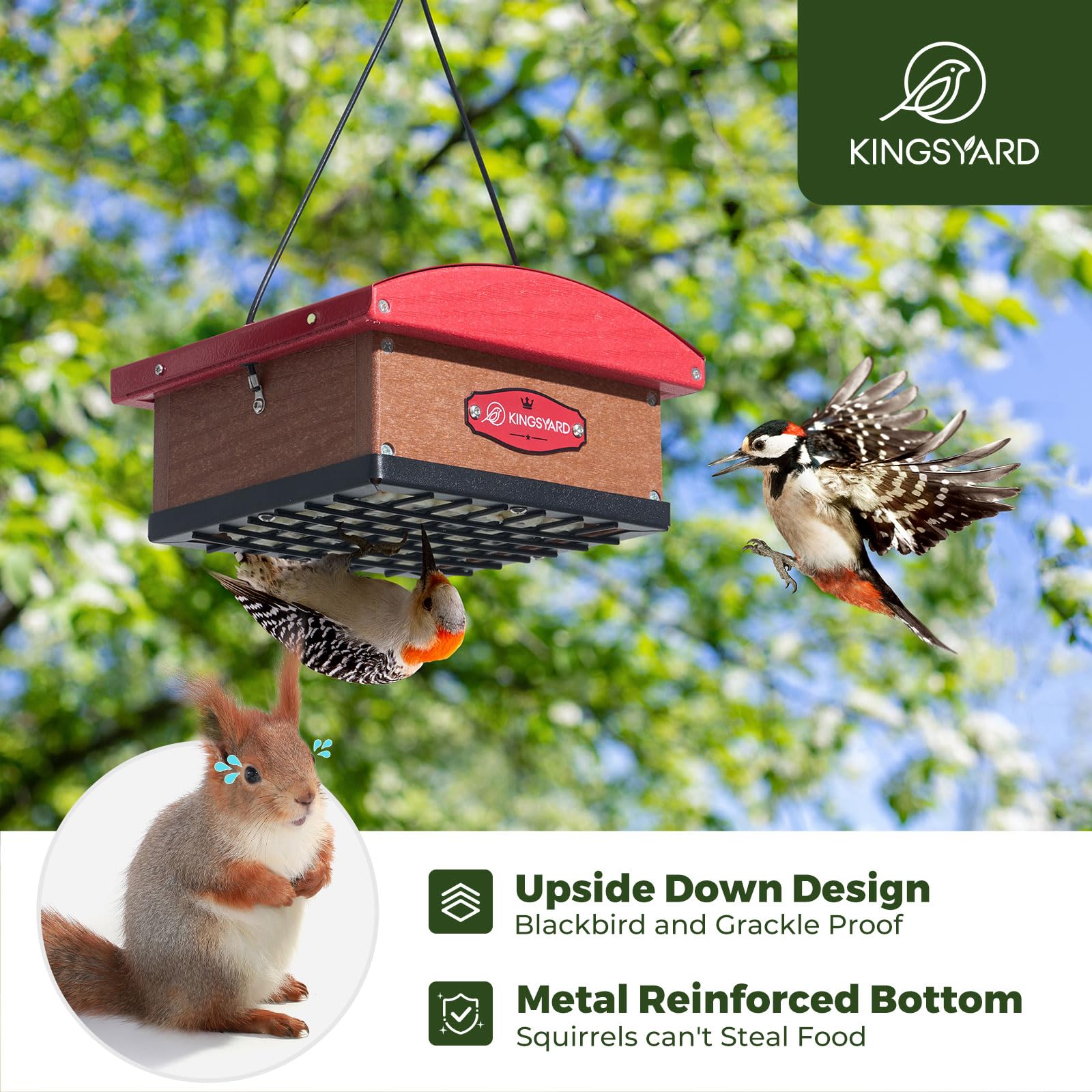 Kingsyard Suet Feeder with Metal Edging deters squirrels while inviting woodpeckers.