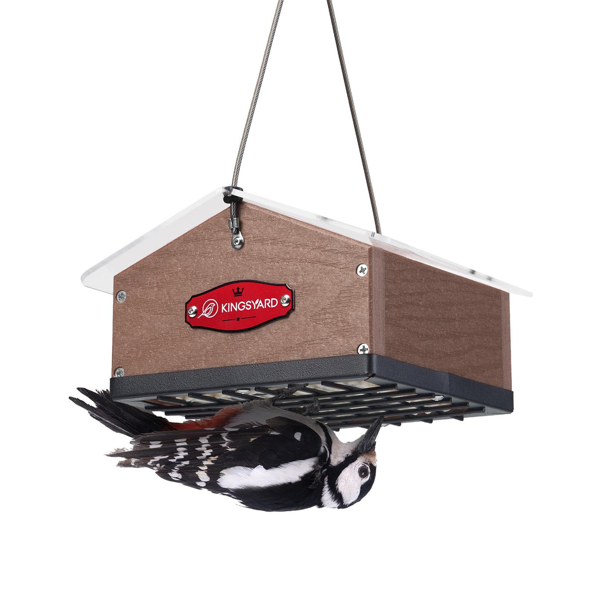 Kingsyard upside-down double suet feeder front view highlighting woodpecker access.