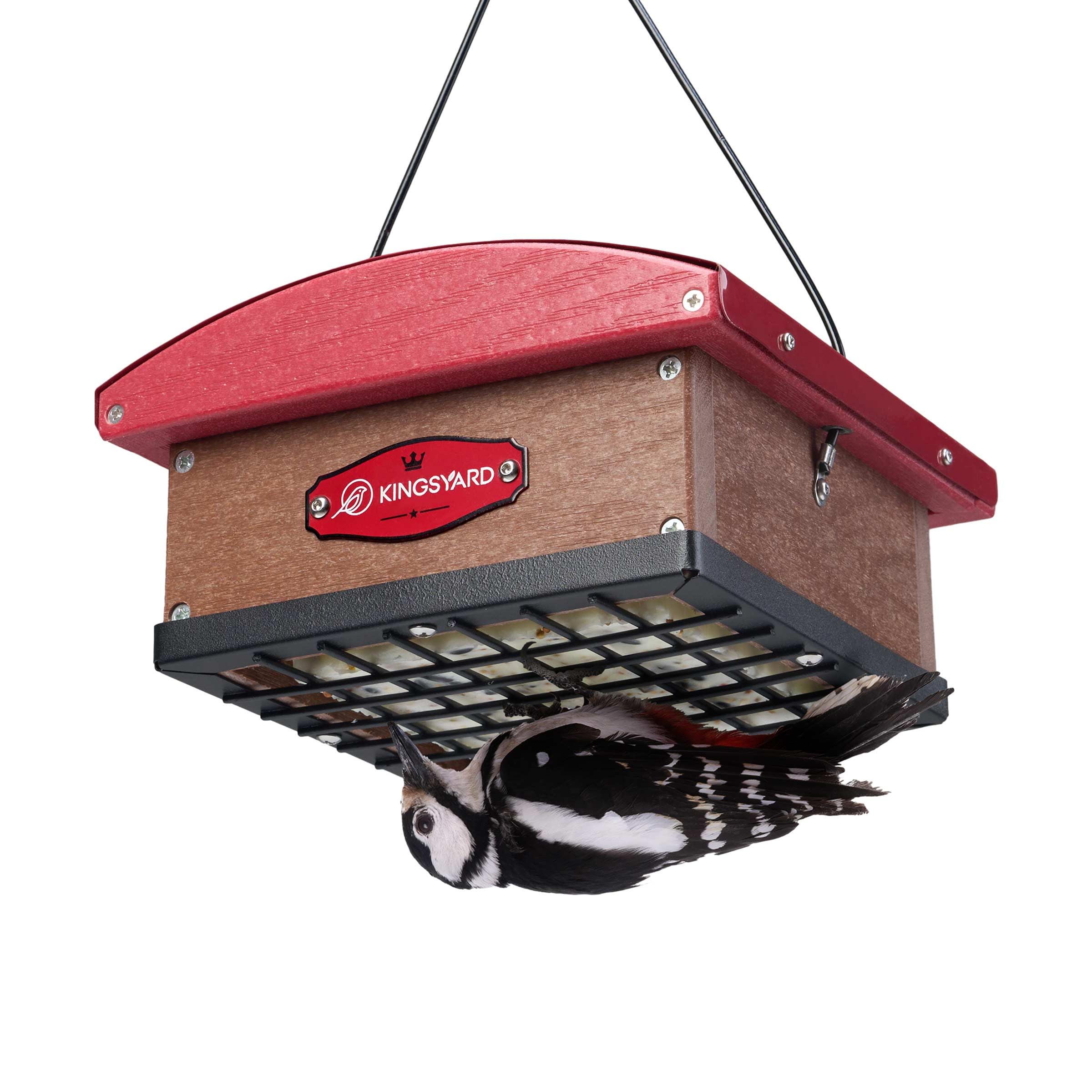 Kingsyard Upgraded Upside-Down Suet Feeder Roof keeps suet dry for backyard birds.