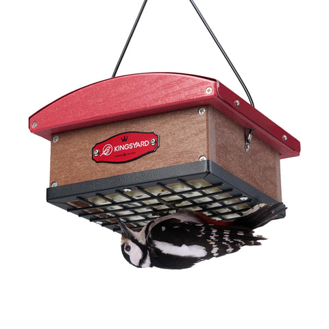Kingsyard Upgraded Upside-Down Suet Feeder Roof keeps suet dry for backyard birds.