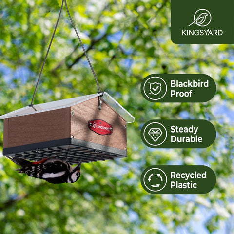 Kingsyard suet feeder mounted outdoors under a clear roof supports year-round feeding.