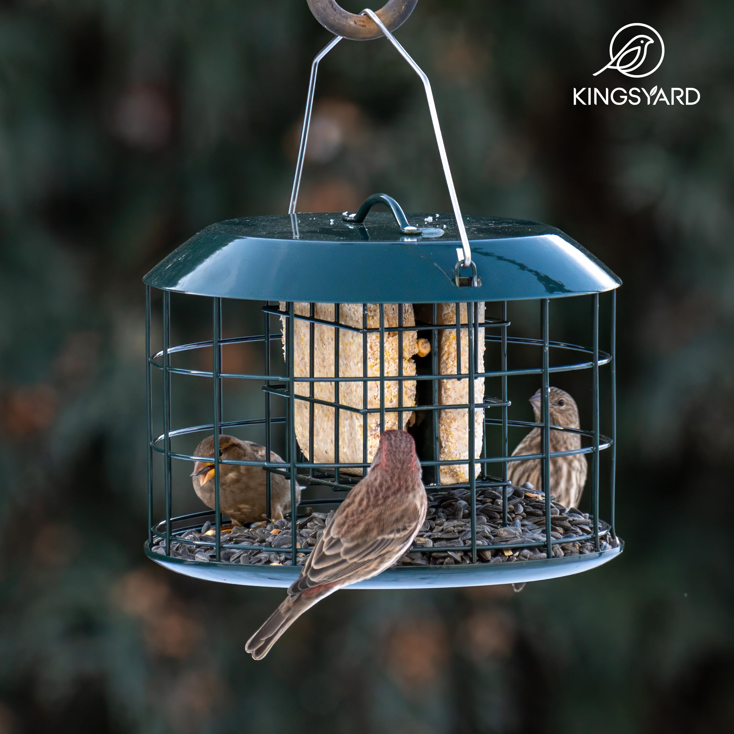 Kingsyard weatherproof green bird feeder designed for varied outdoor conditions.
