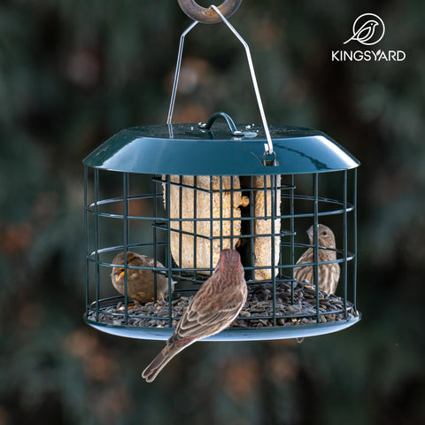 Kingsyard weatherproof green bird feeder designed for varied outdoor conditions.