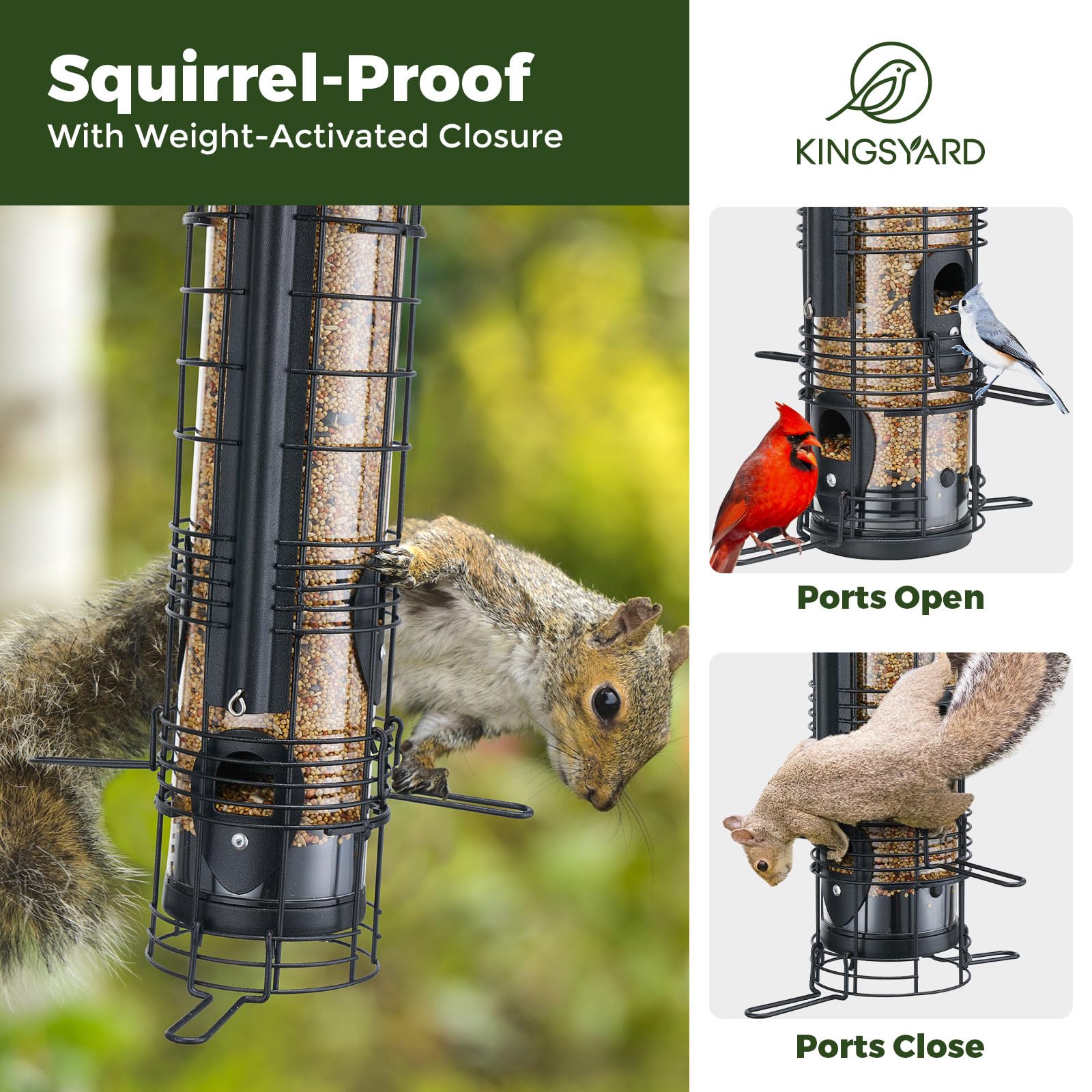 Kingsyard weight-activated perch engages small birds while deterring squirrels