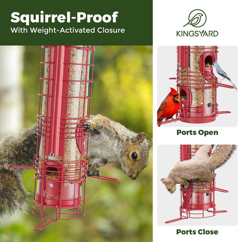 Kingsyard weight-activated perches safeguard seeds when weight increases