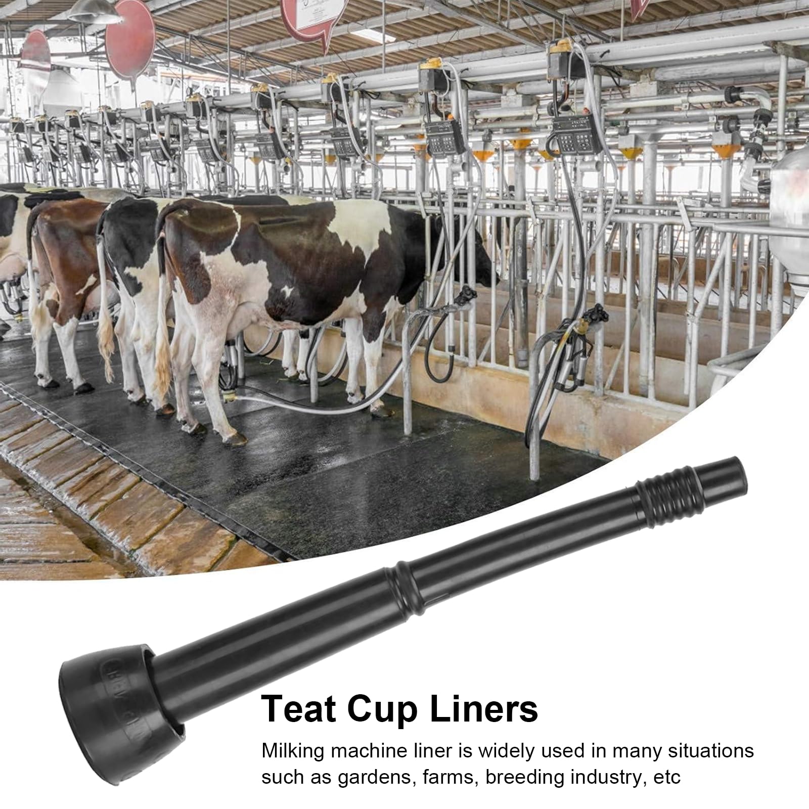 KINGTAIXIN milking liner easy install for quick maintenance on the dairy farm.