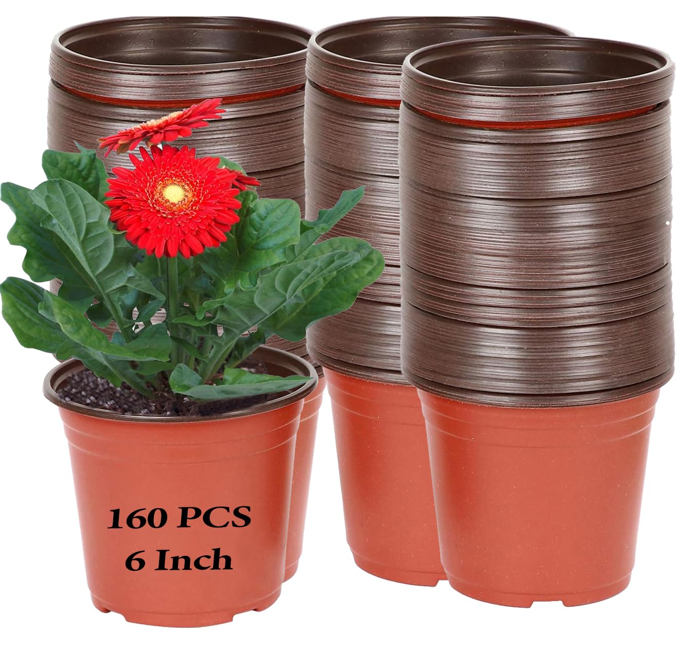 KINJOEK 6-inch nursery pot, top view, shows roomy space for roots.