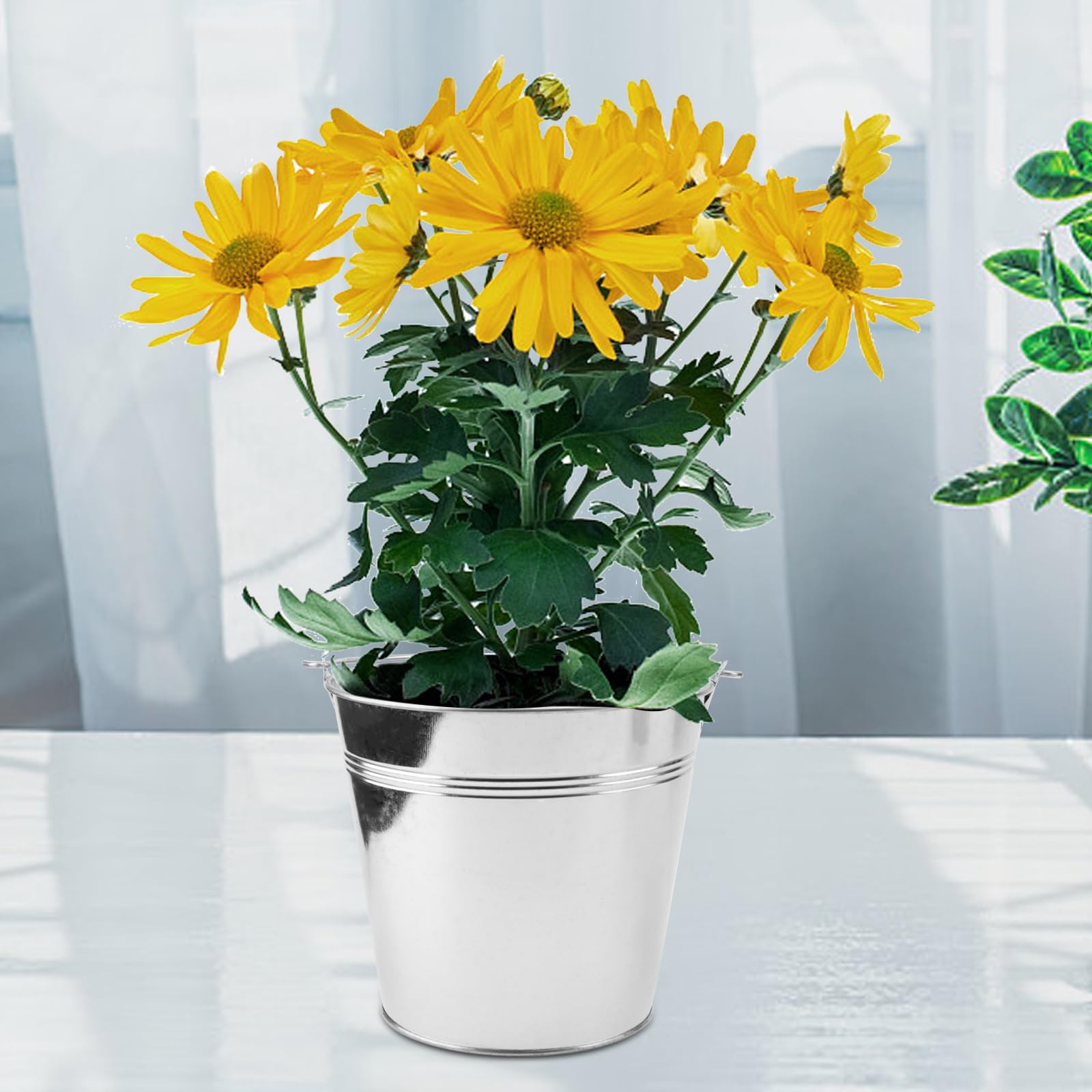 KINJOEK easy-to-carry galvanized buckets with sturdy handles.