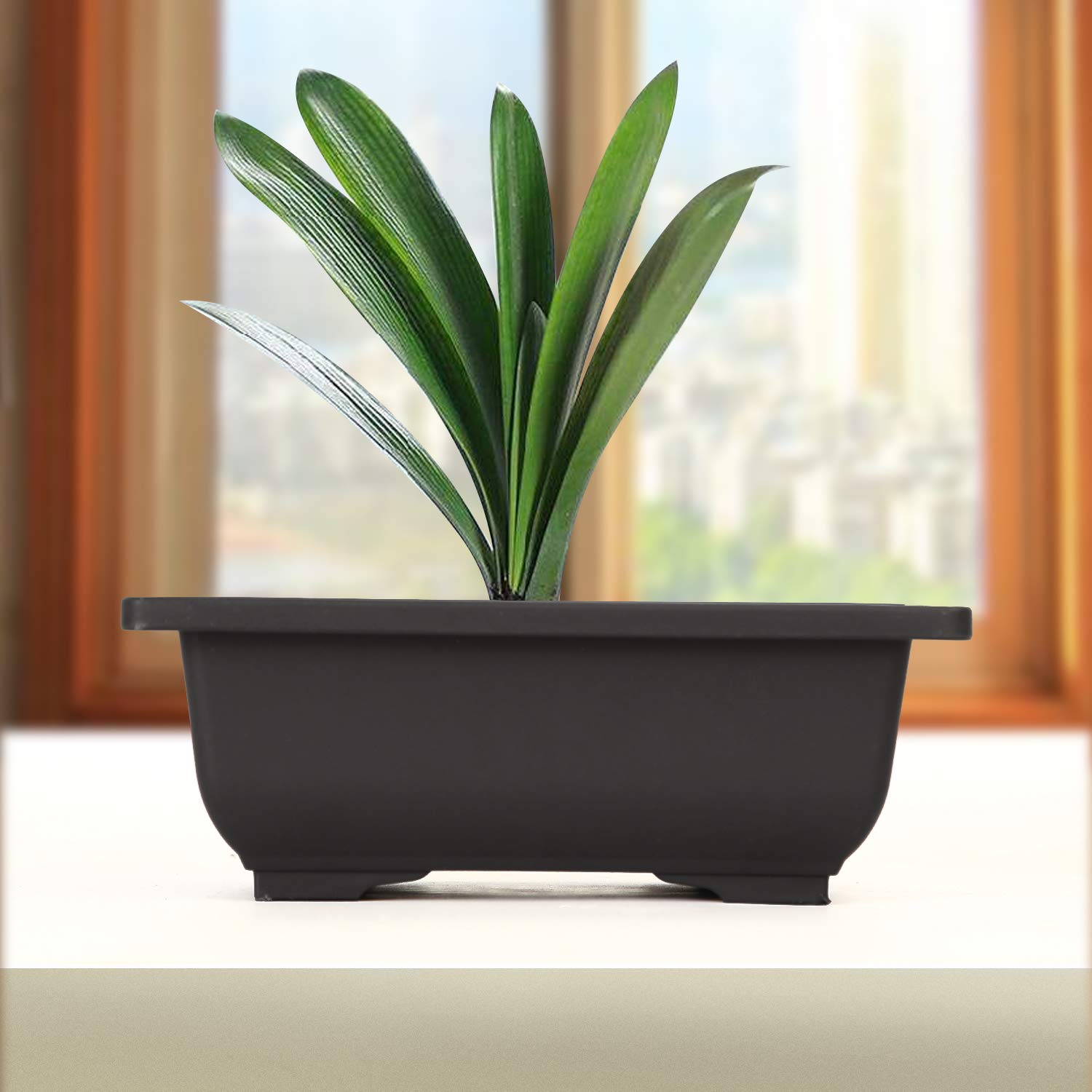 KINJOEK starter kit supports bonsai and ornamental plants with modular design.