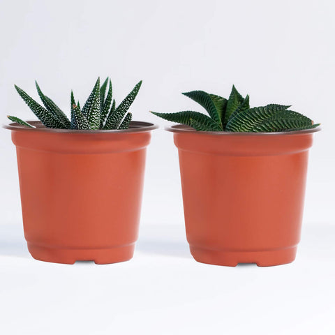KINJOEK nursery pot bottom holes provide drainage and airflow.