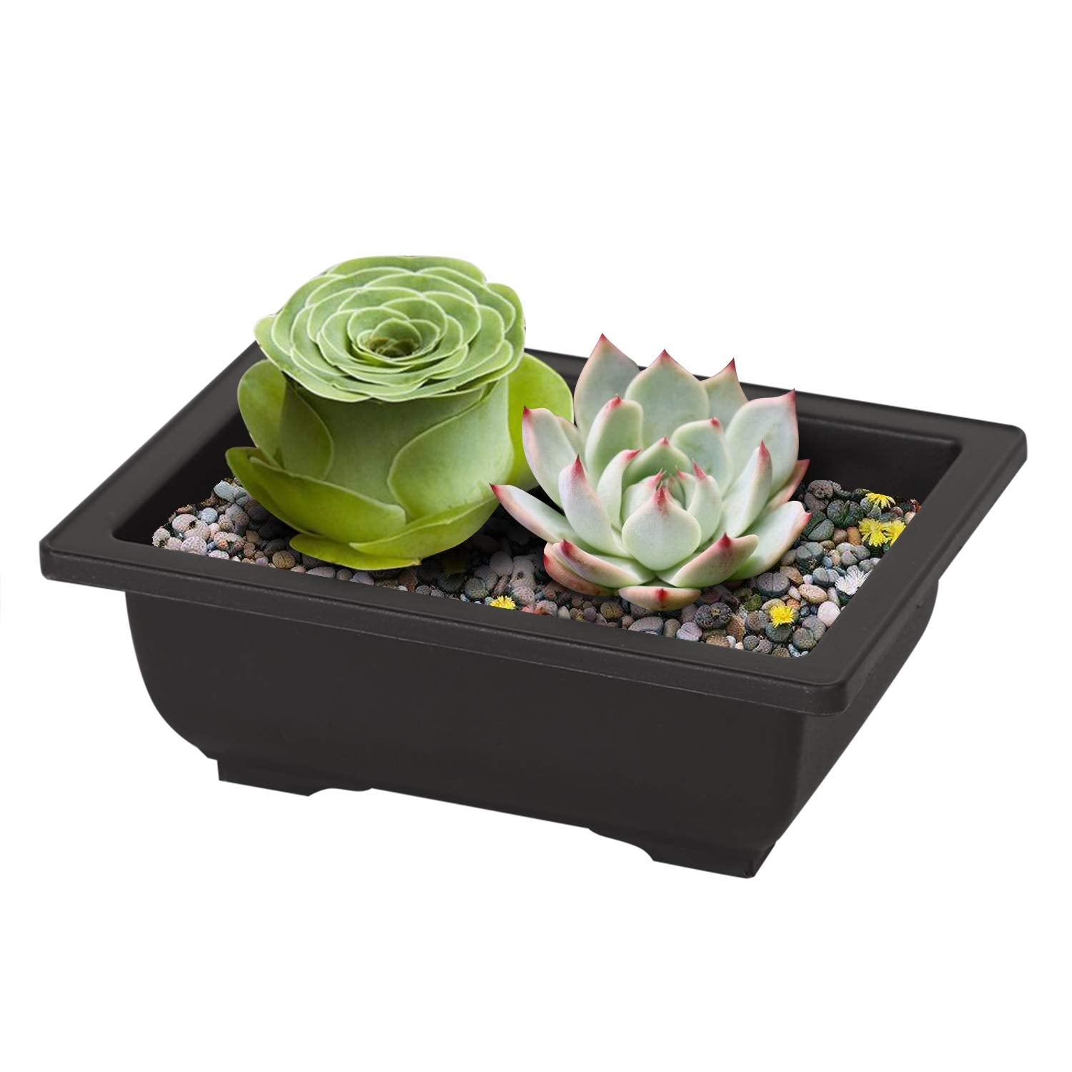 KINJOEK pots are easy to move and wash for simple care.