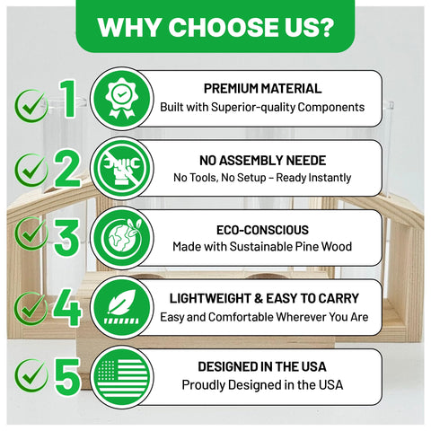 Kinroxy four glass test tubes support multiple cuttings in a tidy hydroponic setup.