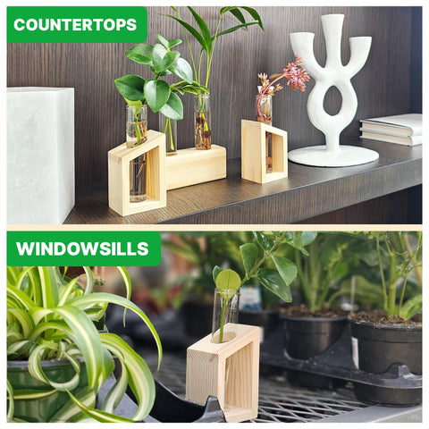 Kinroxy home office decor propagation station complements desks with practical beauty.