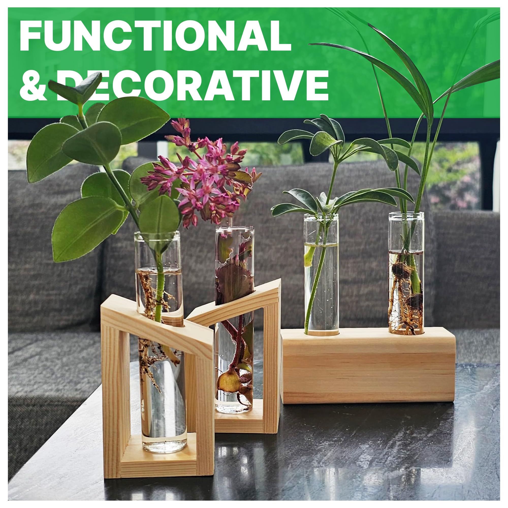 Kinroxy hydroponic propagation jar provides a clean, efficient environment for new roots.