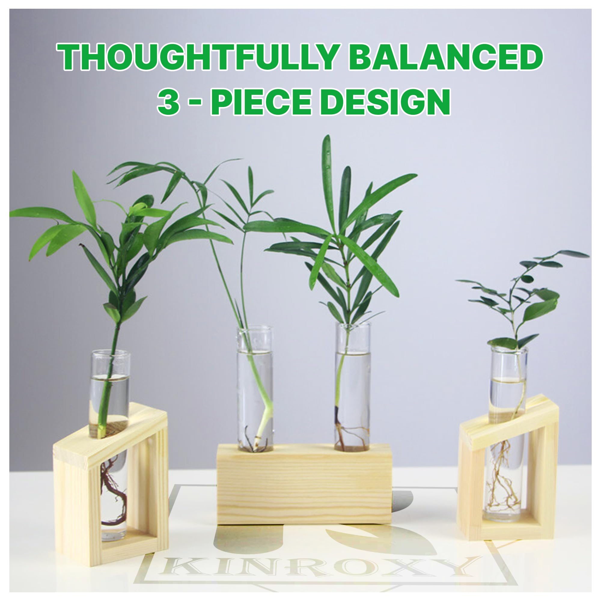 Kinroxy plant clipping display helps nurture new growth in a stylish setup.