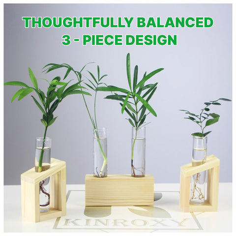Kinroxy plant clipping display helps nurture new growth in a stylish setup.