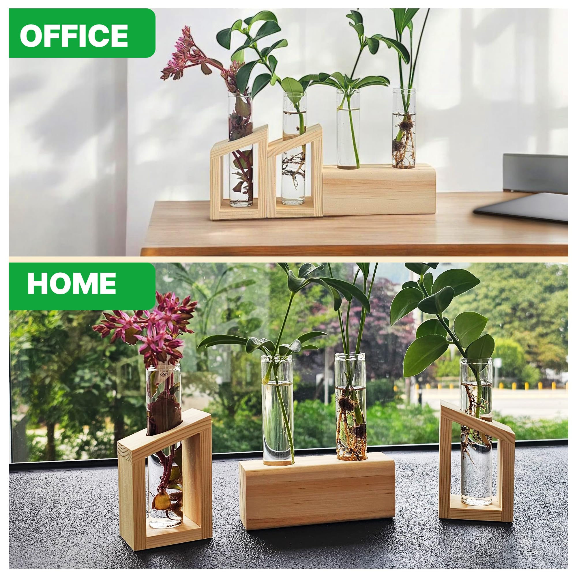 Kinroxy propagation vases for plants make a thoughtful gift for plant lovers.