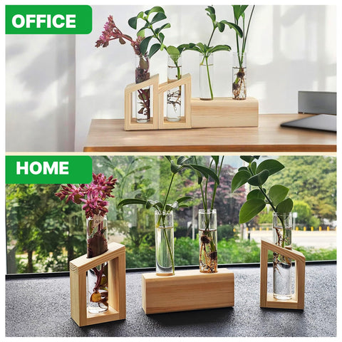 Kinroxy propagation vases for plants make a thoughtful gift for plant lovers.