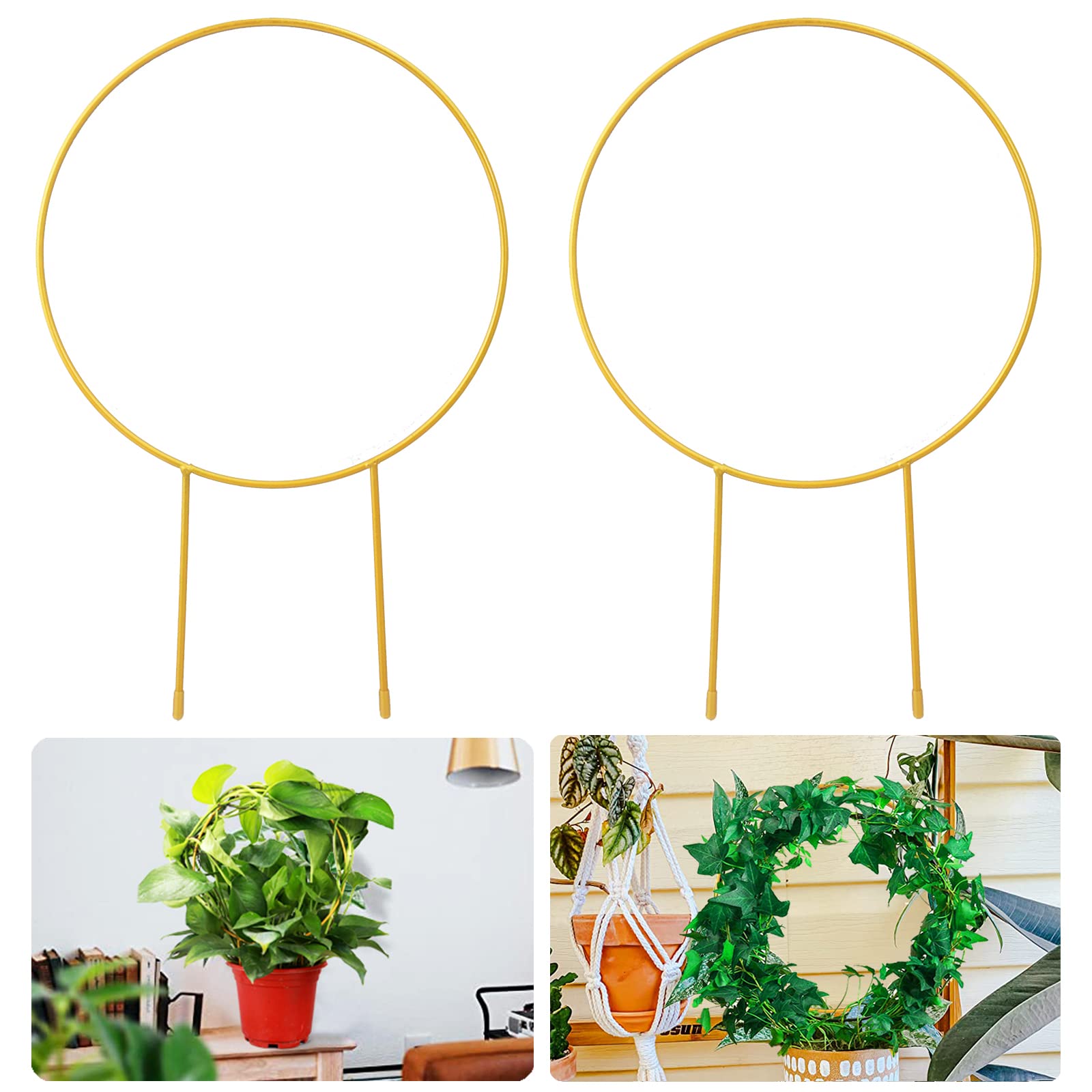 Kiouposy circle trellis 15-inch gold provides stylish support for climbing plants.