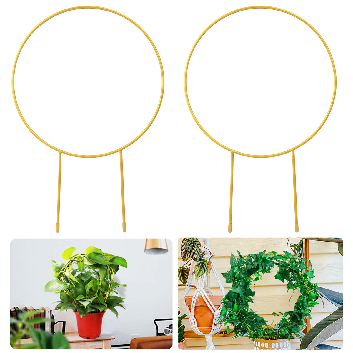 Kiouposy circle trellis 15-inch gold provides stylish support for climbing plants.