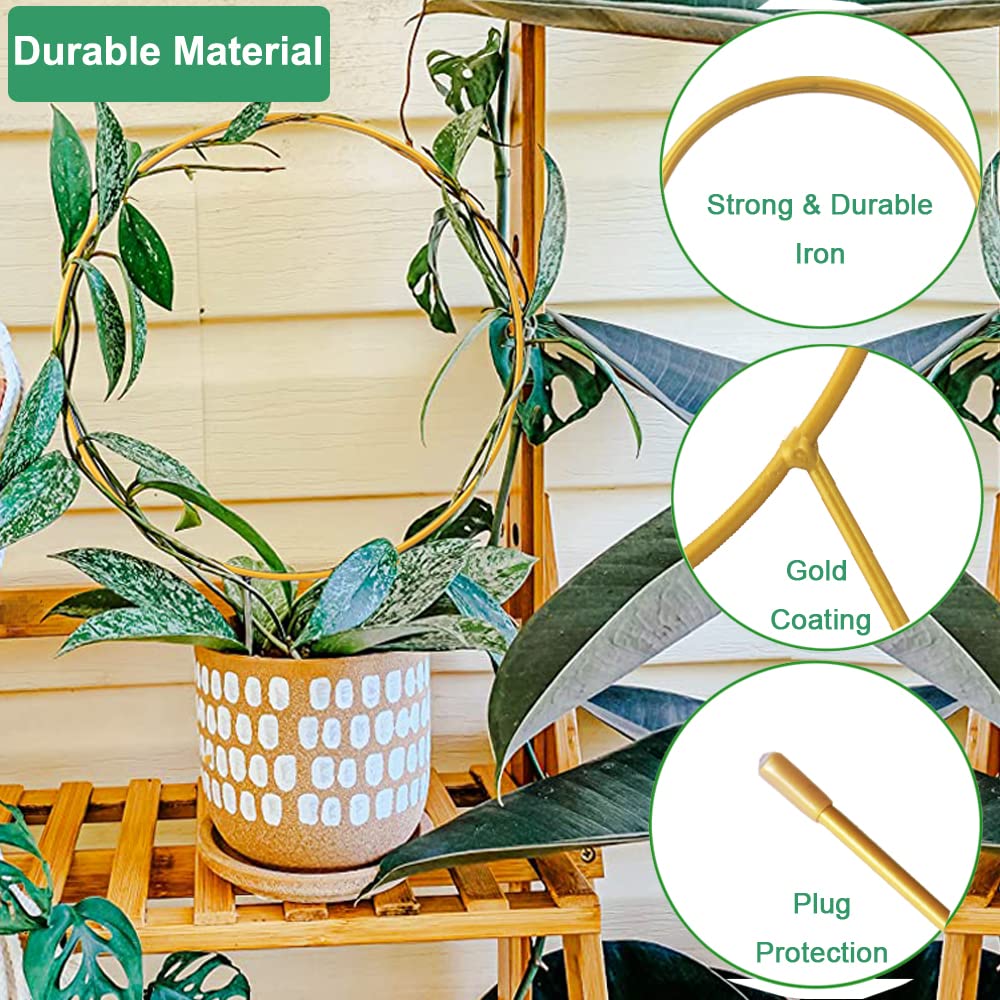 Kiouposy Hoya support circle trellis for indoor use keeps vines tidy.