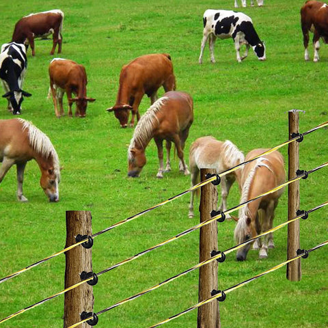 Kiouposy rust-resistant stainless steel conductors provide long-lasting performance