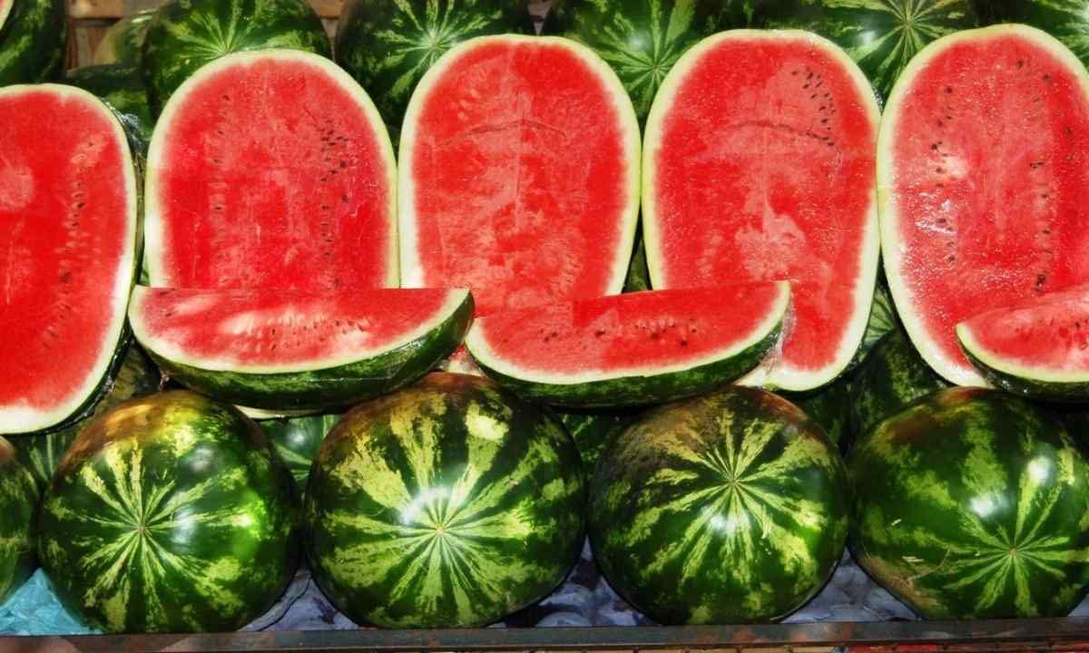 KIRA SEEDS Seed imagery hints at healthy germination.