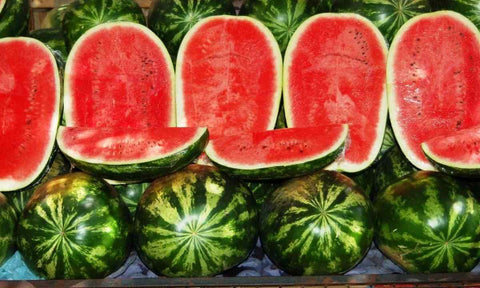 KIRA SEEDS Seed imagery hints at healthy germination.
