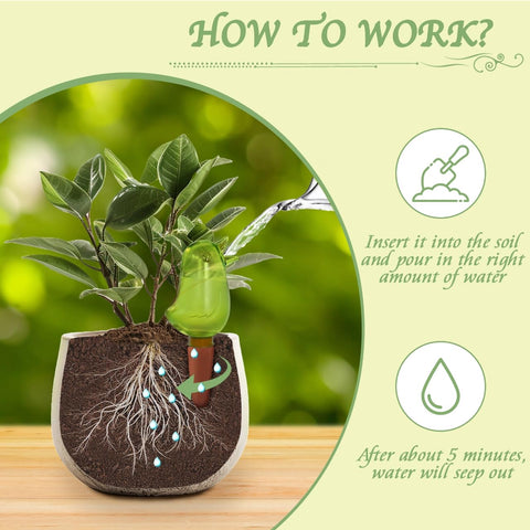KIROYAL self-watering spike in action supports indoor plant care while you work.