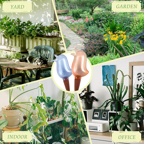 KIROYAL plant care on vacation demonstrates extended watering without daily checks.