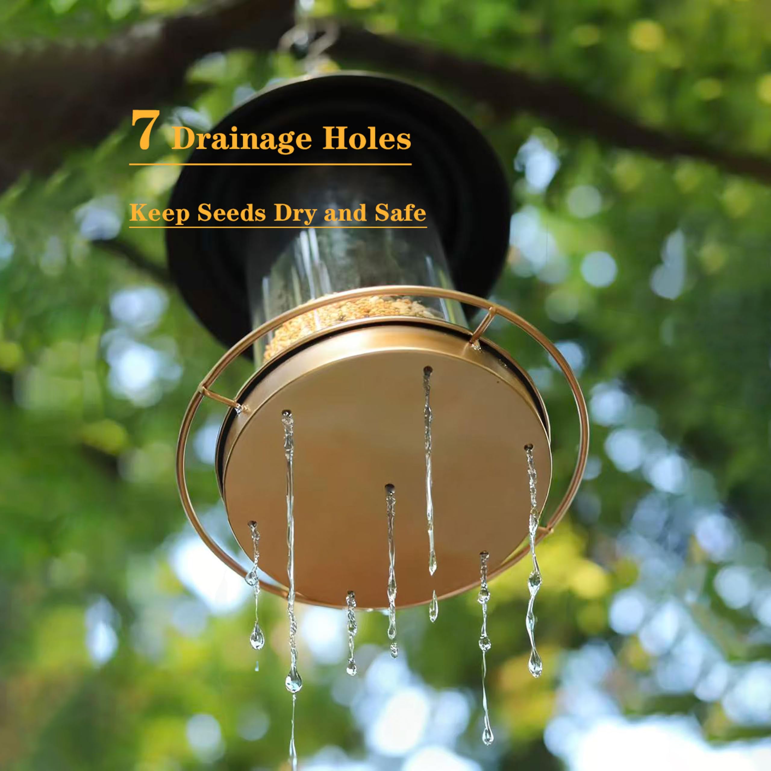 KiRuan Deco drainage-holes keep seeds dry and reduce waste.