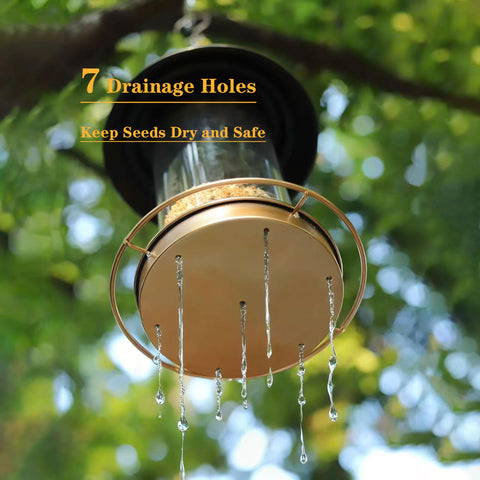 KiRuan Deco drainage-holes keep seeds dry and reduce waste.