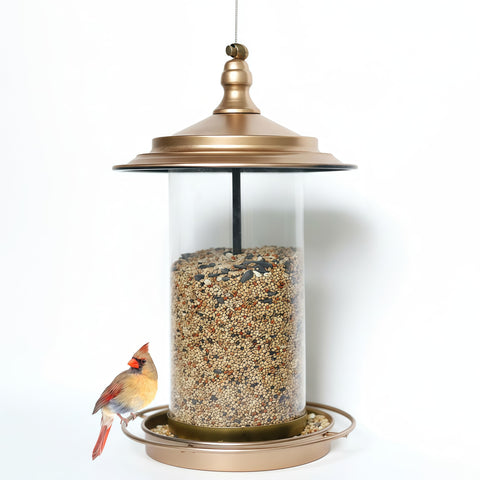 KiRuan Deco locking-lid bird feeder deters squirrels and secures seeds.