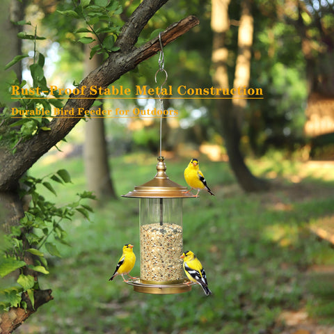 KiRuan Deco three-perches design invites multiple birds to feed.