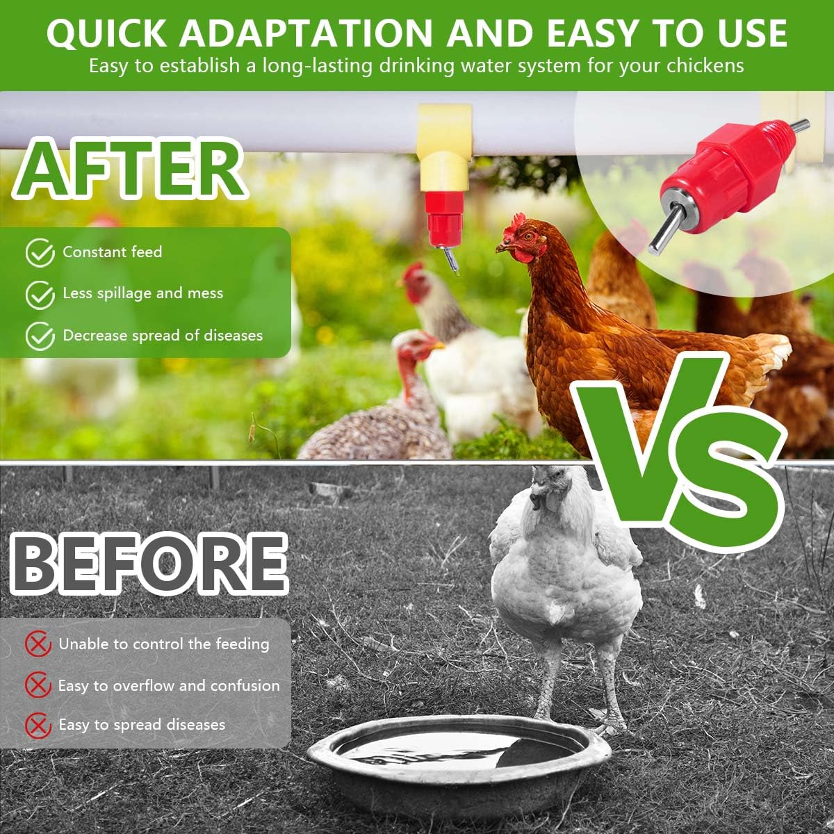 KISEER nipples designed for broilers and layers in action