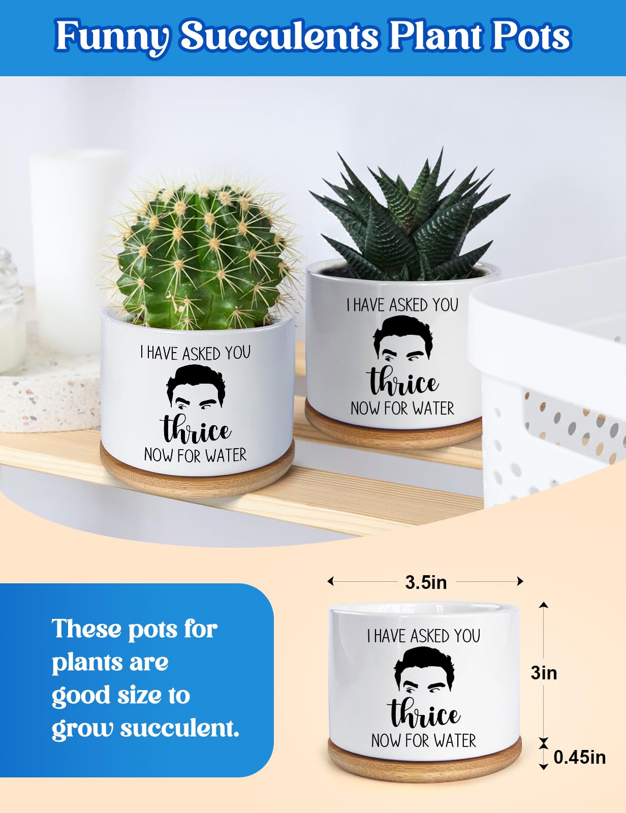 KISJO ceramic succulent pot designed for tiny indoor plants.