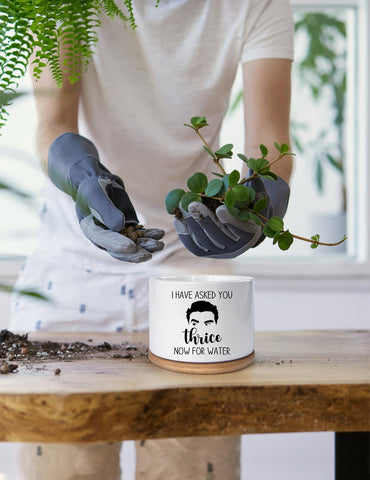 KISJO gift-ready planter for plant lovers.