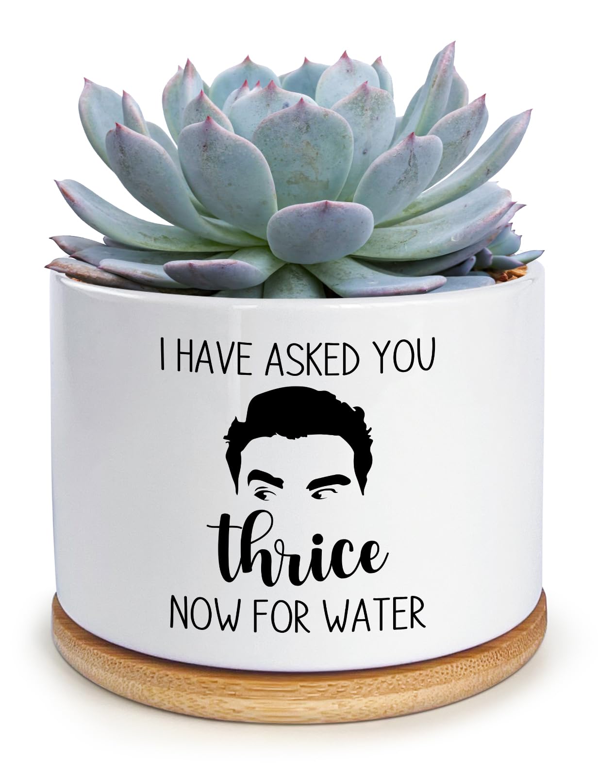 KISJO water pot with humorous text on a desk-ready planter.