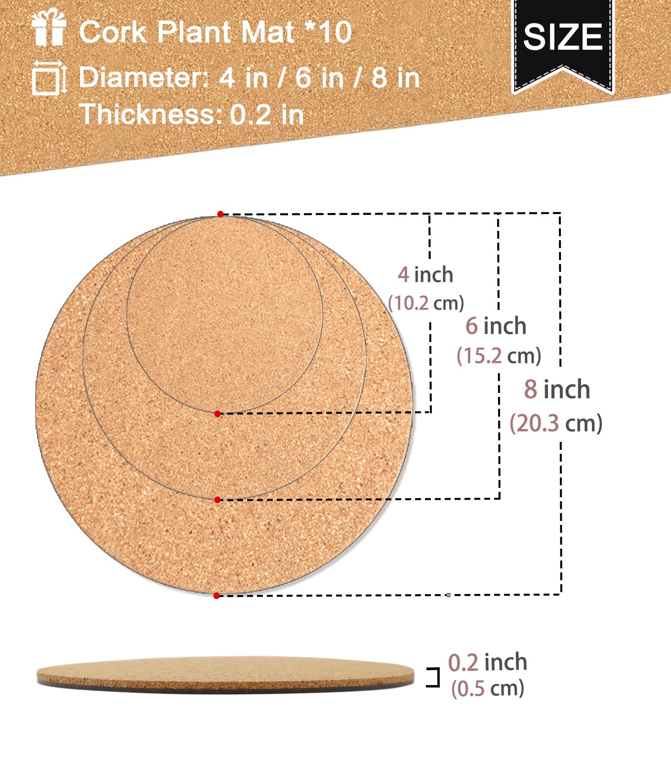 Kitlab cork plant coaster 6in stable base supports medium plants.