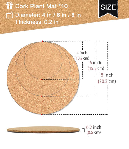 Kitlab cork plant coaster 6in stable base supports medium plants.