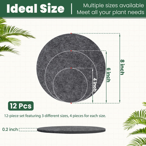 KITLAB felt plant coasters 6-inch in use under a plant pot to prevent scratches.